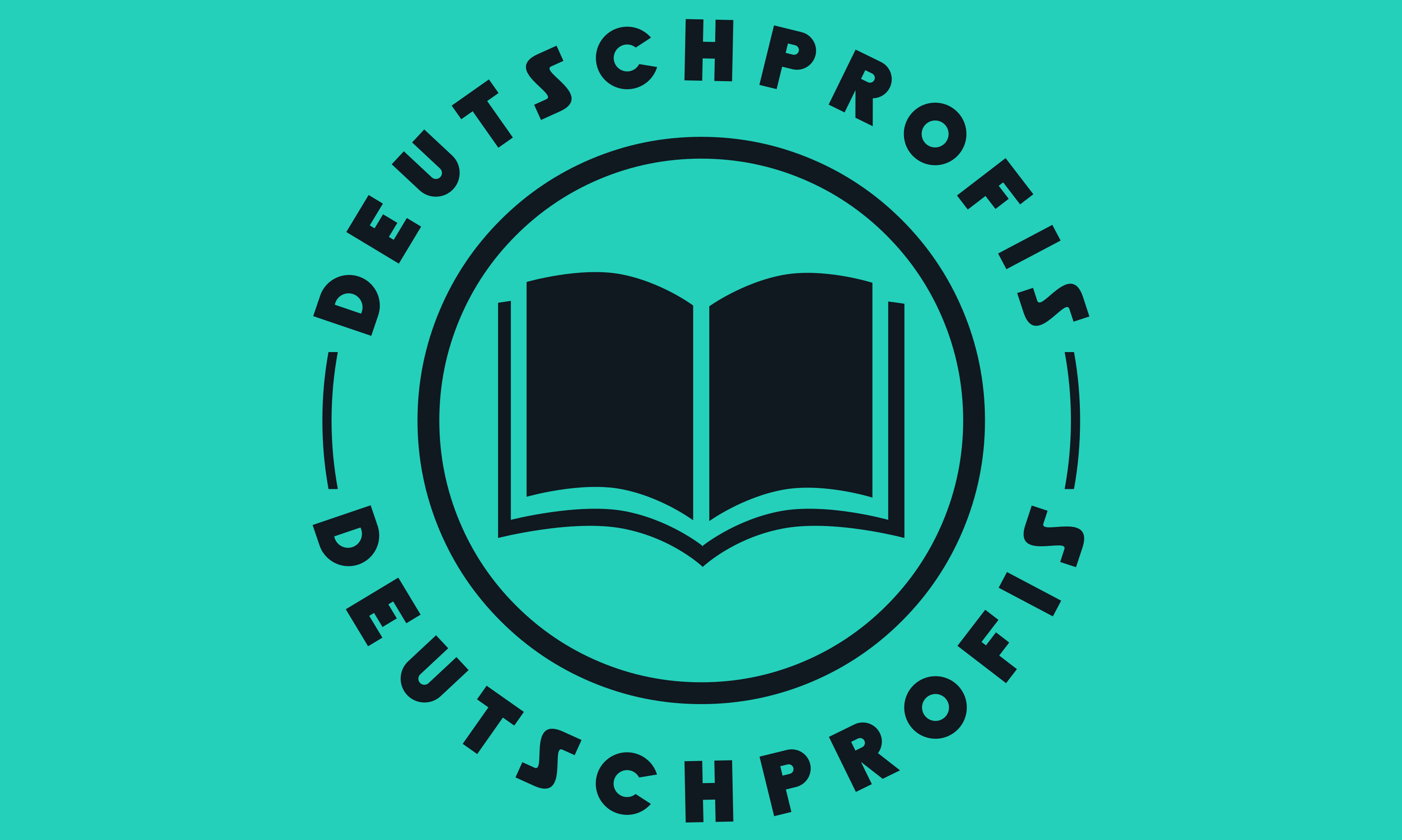 Die Deutschprofis