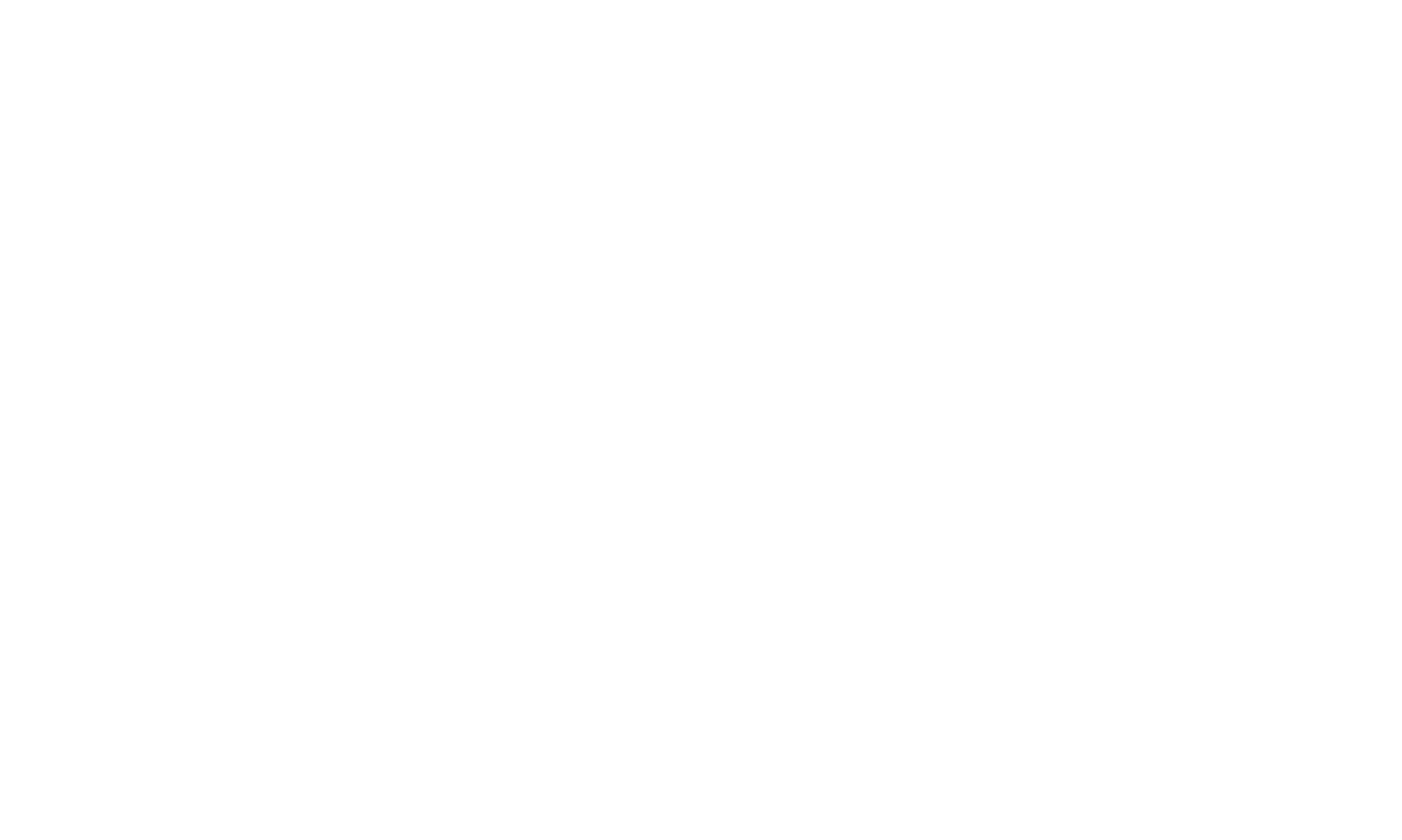 Die Deutschprofis
